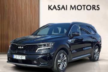 Salon Polska I właściciel / Serwisowany w ASO